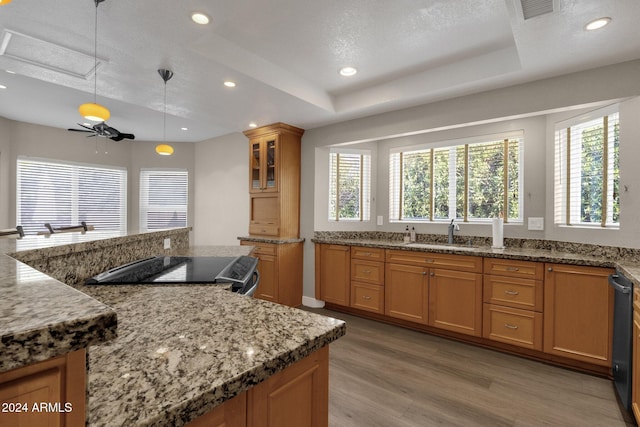 kitchen featuring a healthy amount of sunlight, black appliances, wood-type flooring, and ceiling fan