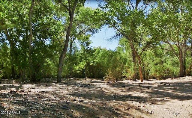 view of landscape with a wooded view