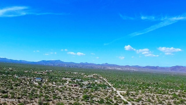 view of mountain feature