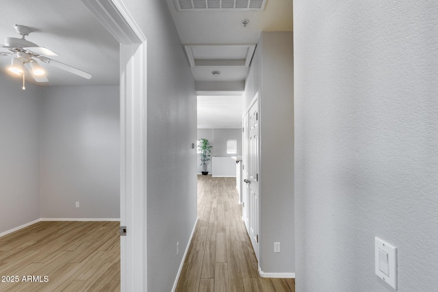 2941 E Darrow St, Phoenix, AZ 85042 - hallway with wood finished floors and baseboards