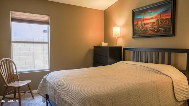 10952 S Desert Lake Dr, Goodyear, AZ 85338 - carpeted bedroom with baseboards