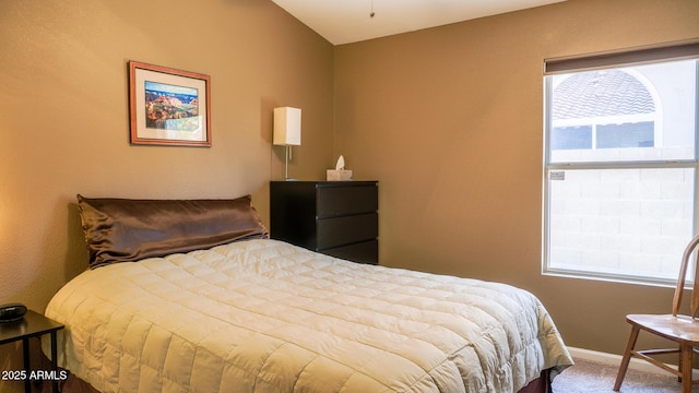 10952 S Desert Lake Dr, Goodyear, AZ 85338 - bedroom featuring baseboards and carpet flooring