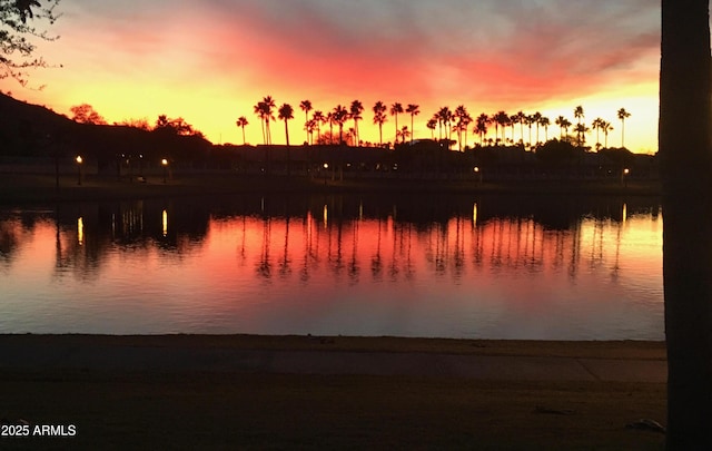 10952 S Desert Lake Dr, Goodyear, AZ 85338 - property view of water