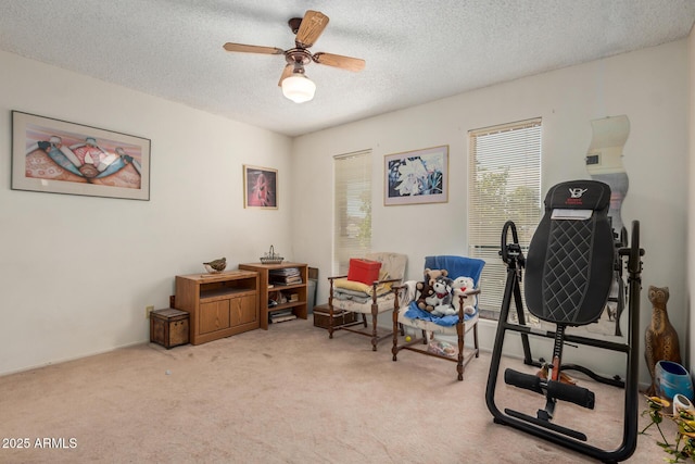 619 E Elaine St, Casa Grande, AZ 85122 - living area with carpet, a ceiling fan, and a textured ceiling