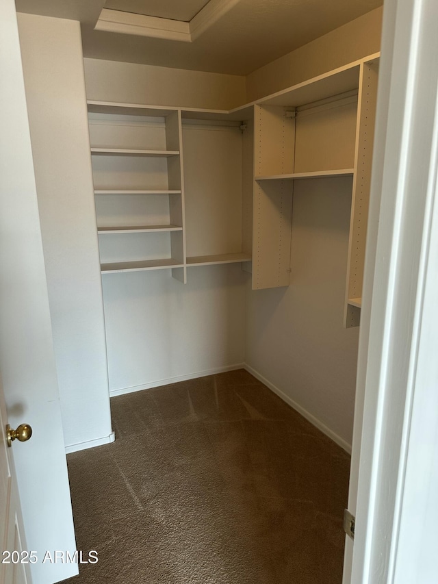 spacious closet with dark colored carpet