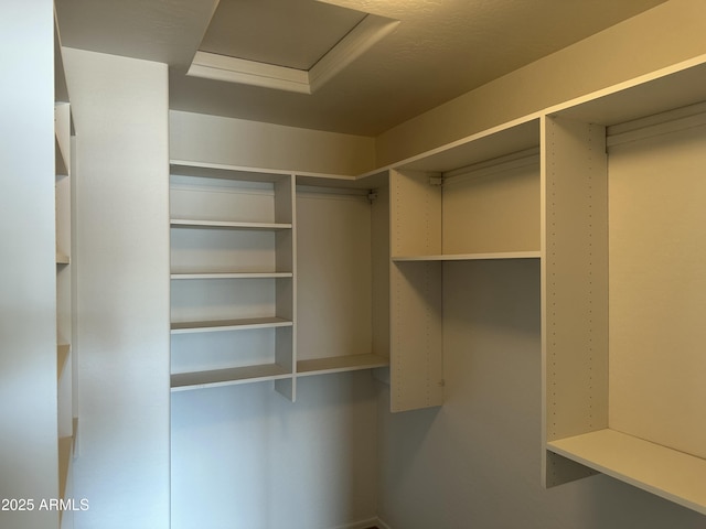 view of walk in closet