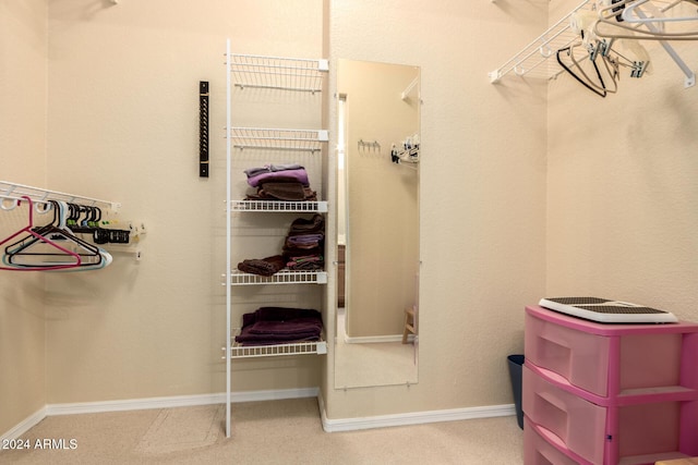 walk in closet featuring carpet flooring