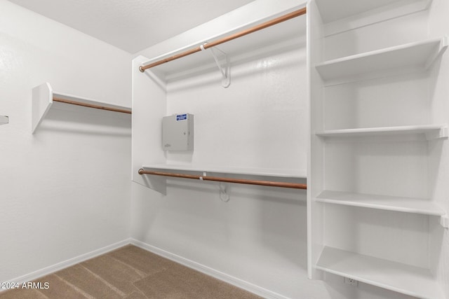 walk in closet featuring carpet