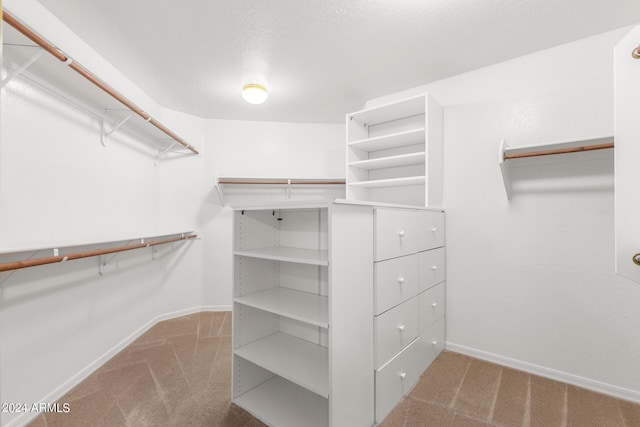walk in closet featuring carpet floors