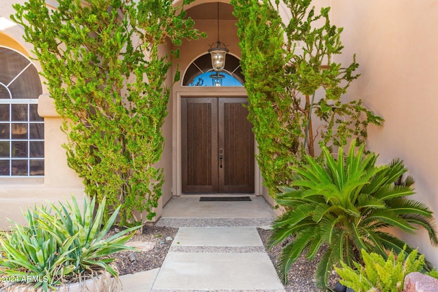view of exterior entry featuring stucco siding