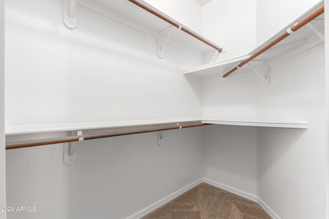 walk in closet with carpet flooring