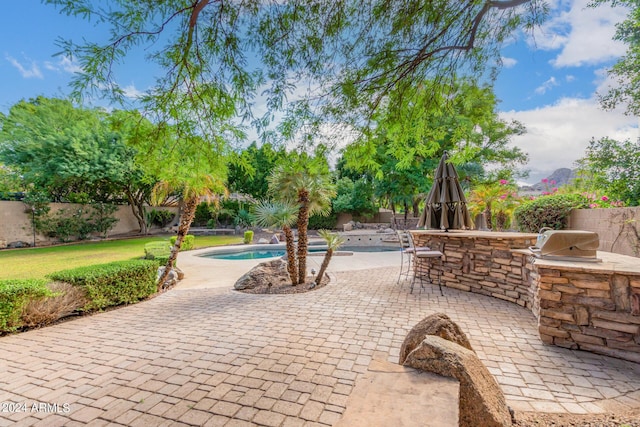 surrounding community featuring a fenced backyard, a patio, a pool, and an outdoor kitchen