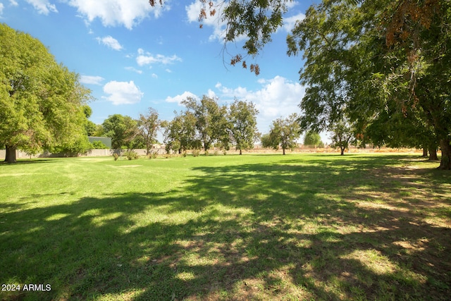 view of home's community with a lawn