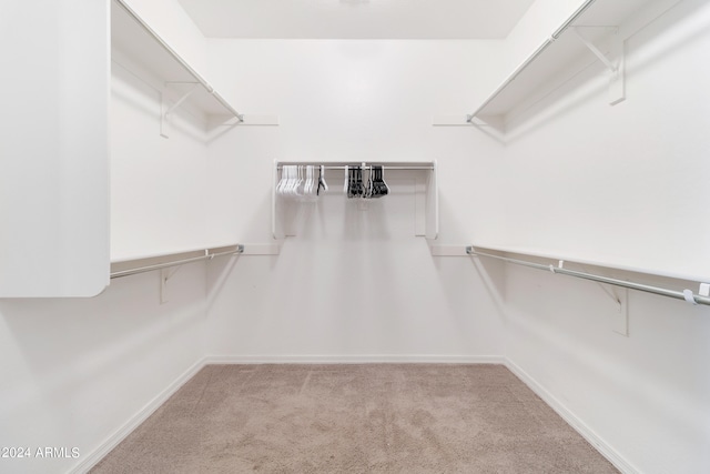 spacious closet with light carpet