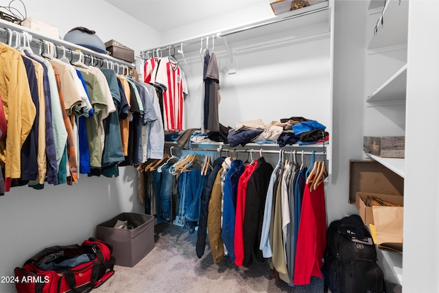 walk in closet featuring carpet floors