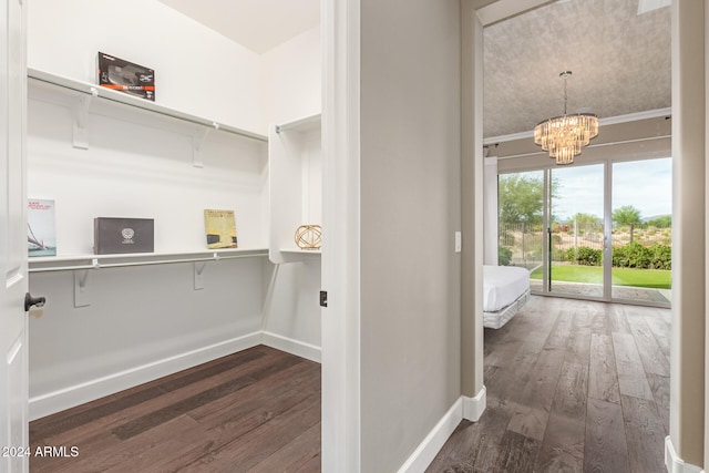 spacious closet with dark hardwood / wood-style floors and a chandelier