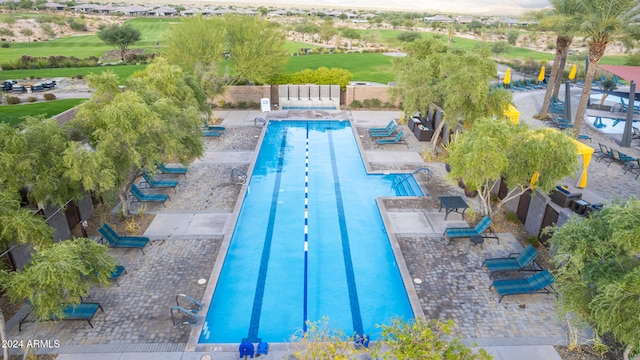 view of pool featuring a patio