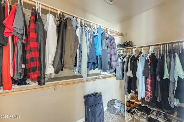 view of spacious closet