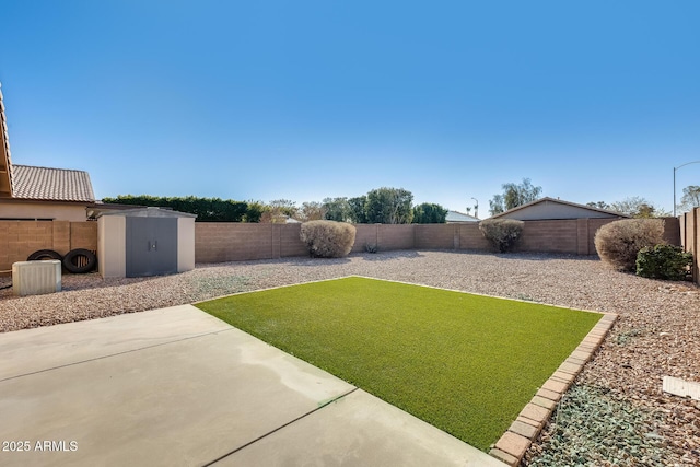 view of yard featuring a patio and a shed