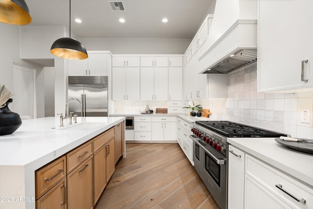 30600 N Pima Rd Unit 89, Scottsdale, AZ 85266 - kitchen with visible vents, a sink, high quality appliances, light wood-style floors, and custom range hood
