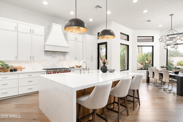 30600 N Pima Rd Unit 89, Scottsdale, AZ 85266 - kitchen with premium range hood, a sink, backsplash, and visible vents