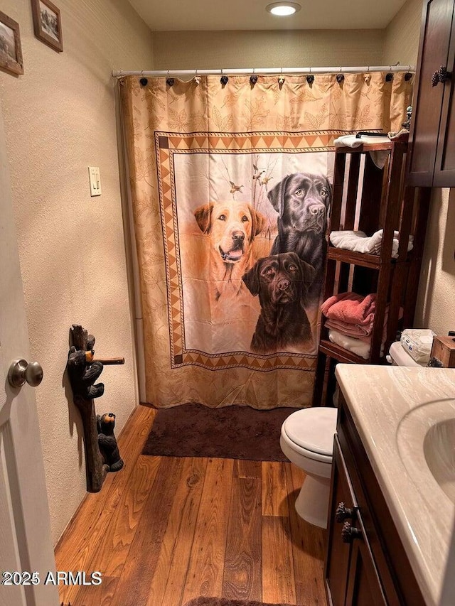 full bathroom featuring a shower with shower curtain, wood finished floors, and vanity