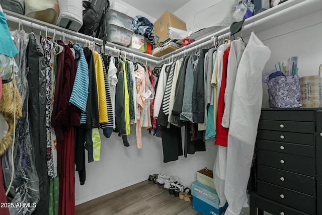 walk in closet featuring wood finished floors