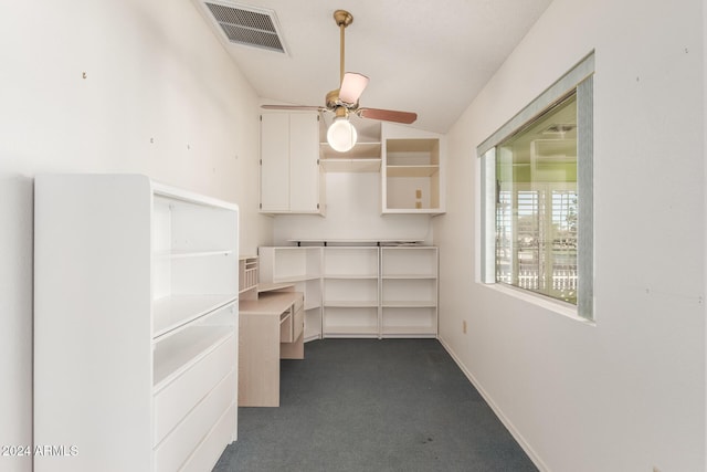 storage area with ceiling fan