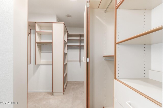 walk in closet with light colored carpet