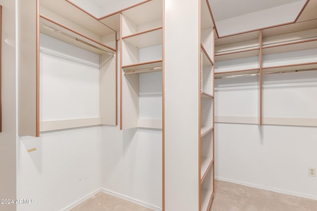 spacious closet featuring light colored carpet