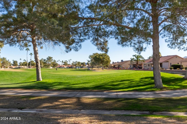 surrounding community featuring a lawn