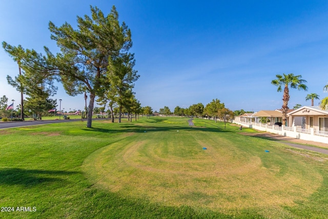 view of community with a lawn