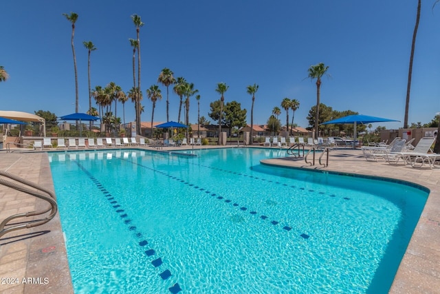 view of pool with a patio area