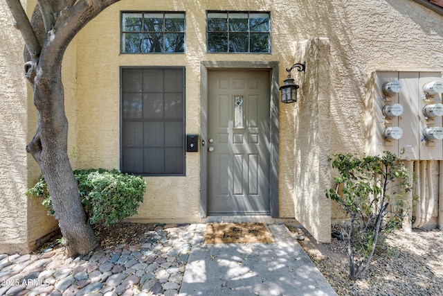 doorway to property featuring stucco siding