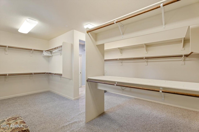 spacious closet featuring light colored carpet