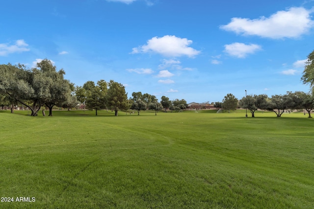 view of property's community featuring a yard