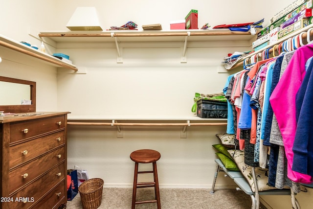 spacious closet featuring carpet floors