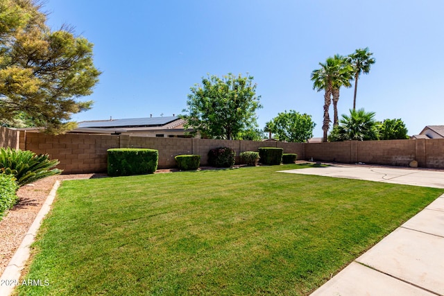 2732 E Tyson St, Chandler, AZ 85225 - view of yard with a patio area