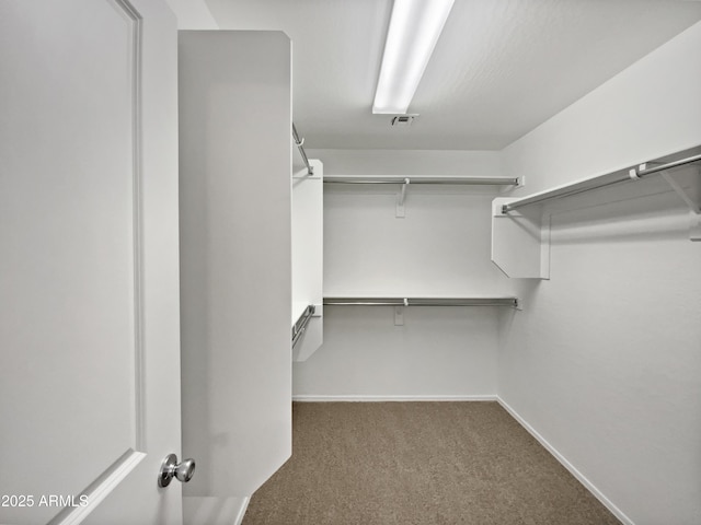 walk in closet featuring carpet and visible vents