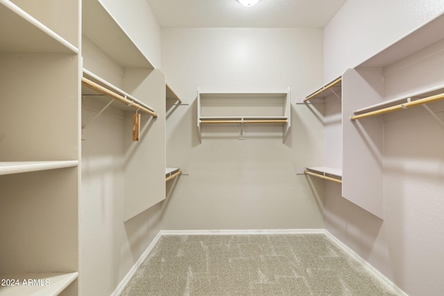 walk in closet featuring carpet flooring