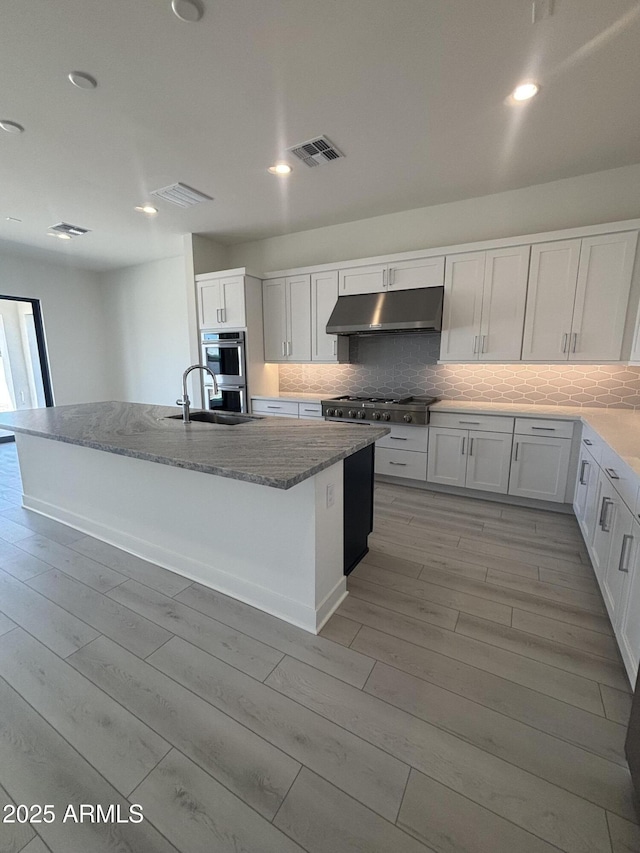 kitchen with under cabinet range hood, light wood finished floors, tasteful backsplash, a sink, and appliances with stainless steel finishes