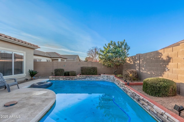 view of pool with a patio area