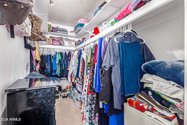 spacious closet with carpet