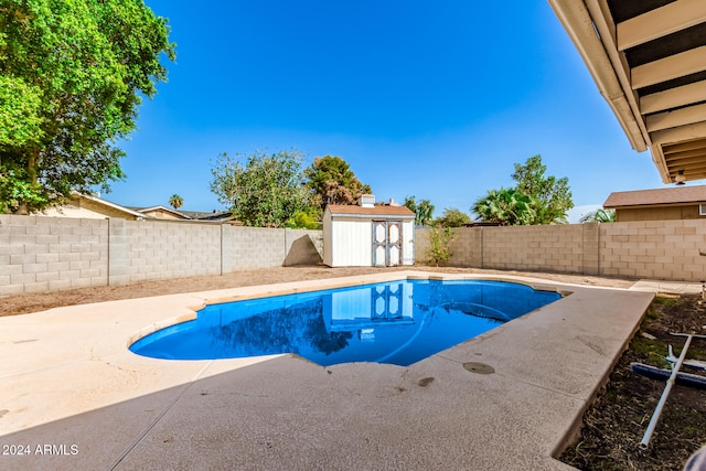 view of pool with a shed and a patio area