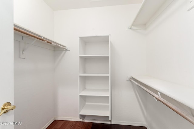 walk in closet featuring dark wood finished floors