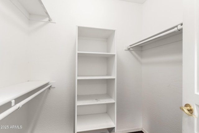 view of spacious closet