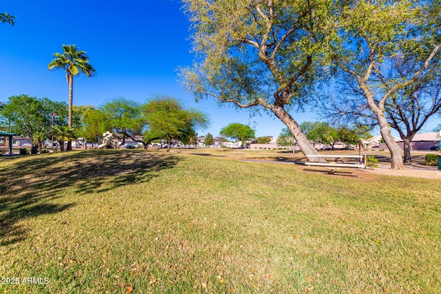 view of yard