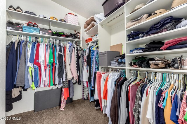 15994 W Bartlett Ave, Goodyear, AZ 85338 - walk in closet featuring carpet