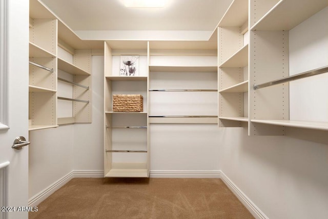 spacious closet with carpet flooring