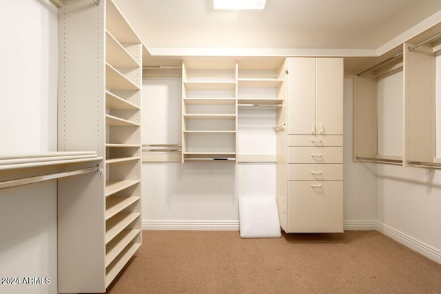 walk in closet featuring light carpet